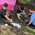 Adana Güney Interact Kulübünden Hayvan Barınağına Ziyaret