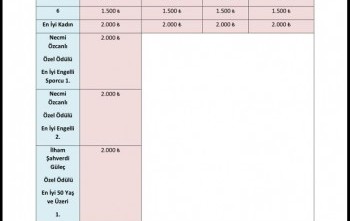 2)Engelleri Aşıyoruz