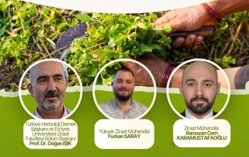 “3000 Yıllık Ata Buğdayımız: Gacer Buğdayı”
