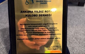 Alevde Cam Tablo Fırını