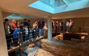 Tamis - Falez Rotakids