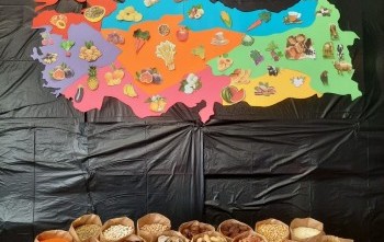 Ata Tohumu ve Yerli Malı