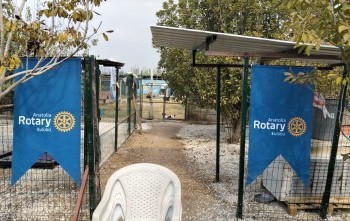 BAŞKANIN HAYALİ ANATOLİA HAYVAN BARINAĞI