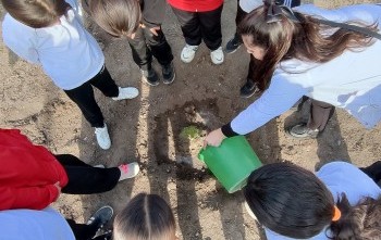 BEYSUKENT HATIRA ORMANI AĞAÇ DİKİMİ