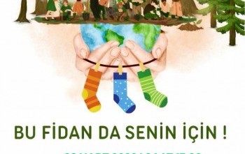 BU FİDAN DA SENİN İÇİN