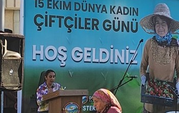 Daha Çok İlaç Çare Değil