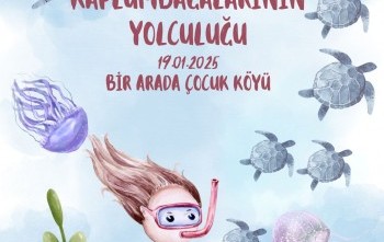 Deniz Kaplumbağalarının Yolculuğu