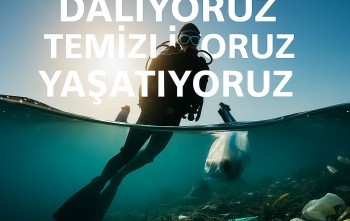 Deniz Varsa Hayat Var