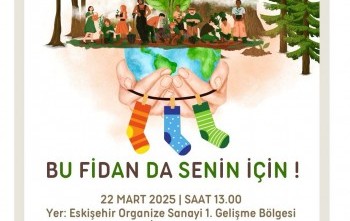 Eskişehir Gordion RK 