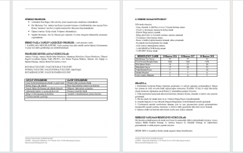 Falez Rotary Kulübü Stratejik Plan