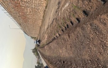 Fidan Dikme etkinliği