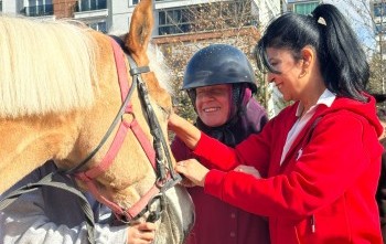 HAYALLER ENGEL TANIMAZ