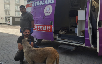 Hayvan Ambulansı ile Mama Dağıtımı Projesi