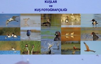 KONUSMACI KONUK