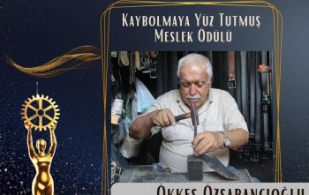 Kaybolmaya Yüz Tutmuş Meslek Ödülü