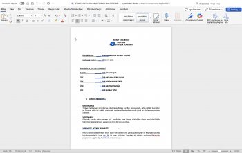 MALTEPE ROTARY STRATEJİK PLANLAMA