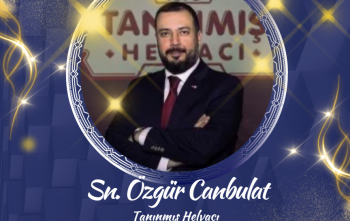 Meslek Başarı Ödülü