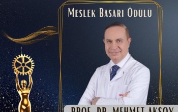 Meslek Başarı ödülü