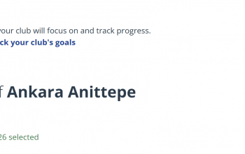 MyRotary Hedeflerin girilmesi