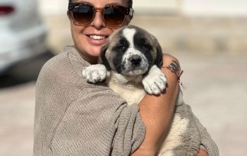 NEMRUT ROTARY KULÜBÜNDEN “SOKAKTAKİ CANLARA” UMUT OLAN MAMA DESTEĞİ