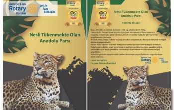 NESLİ TÜKENMEKTE OLAN CANLILAR