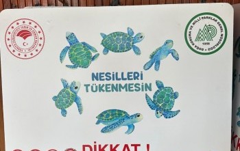 Nesli Tükenen  Canlılar