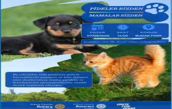 Pideler bizden mamalar sizden