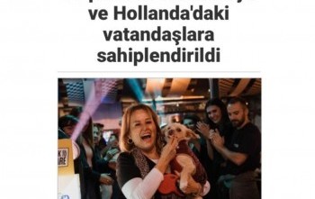 Rotaract Kulübümüzle 2 adet proje yapmak
