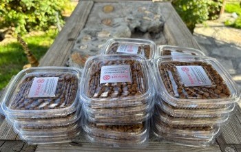 Rotaract Kulüpleri ile bir proje yapmak