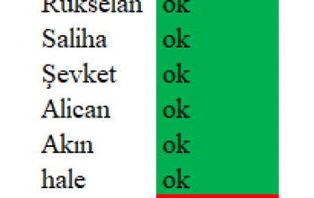 Rotary Bölge 2430 hesaplarının üyelerin % 70 tarafından takip edilmesi