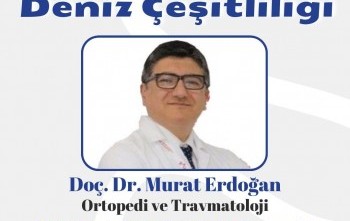 SCUBA VE YOK OLAN DENİZ ÇEŞİTLİLİĞİ