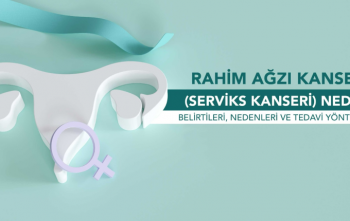 Serviks
