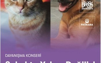 Sokakta Yalnız Değiliz
