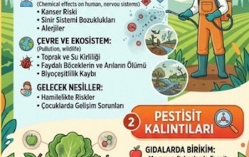 Tarım İlaçlarının Zararları
