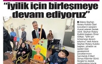 Toplum Hizmetleri , Resim Sergisini Basında Yayınlatmak