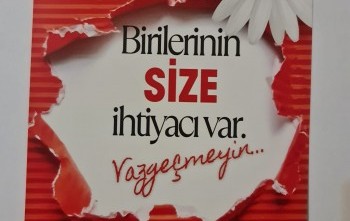 Toplumsal Adalet ve Eşitlik farkındalık