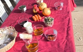 Yerli Tohum ve Gıda İsrafı tanıtımı ve semineri