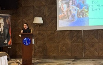 evde evcil hayvan bakımı