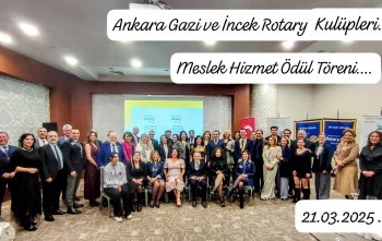 meslek hizmetleri ödülü