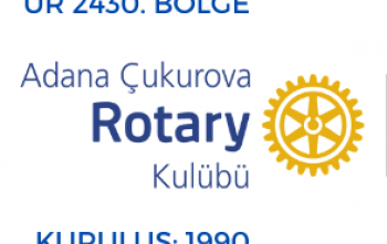 my rotary ve club excellence