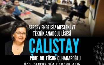 ÇALIŞTAY