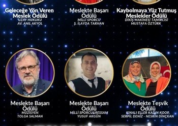 MESLEK HİZMET ÖDÜLLERİ