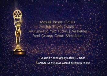 Meslek Başarı  Ödülleri