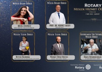 Meslek Başarı Ödülleri