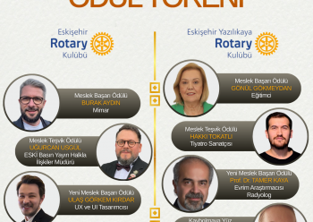 Meslek Başarı Ödülü