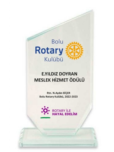 Bolu Rotary Kulübü Meslek Hizmet Ödülü'nü Yıldız Doyran'a verdi