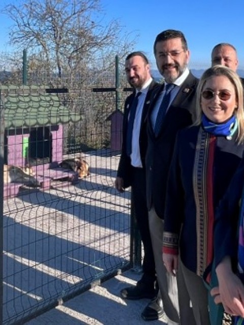 ÜNYE RK'DAN ROTADOG Evi  Sahipsiz Köpek Dostlarımıza sürdürülebilir bir yaşam alanı sağlamak  için yapılan ‘Kurumsal Sosyal Sorumluluk Projesi’