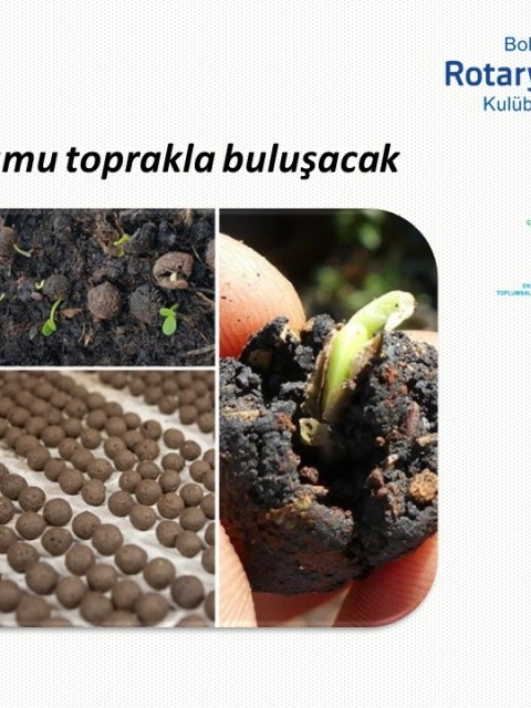 Bolu Rotary Kulübü'nden Sürdürülebilir Bir Çevre ve Gelecek İçin Anlamlı Destek