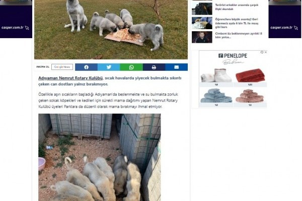 BASINDA CAN DOSTLARA MAMA  HABERİ