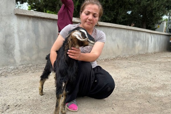 NEMRUT ROTARY KULÜBÜ KADINLARI UNUTMADI